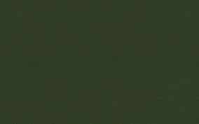 686 (groen tinten)