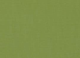 7244