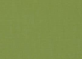 7244