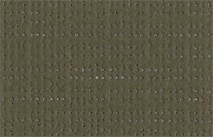 Soltis 92-2148 cocoa