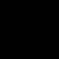 Zwart Structuurlak 9005