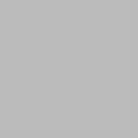 Zilver 8 / benaderbaar 9006